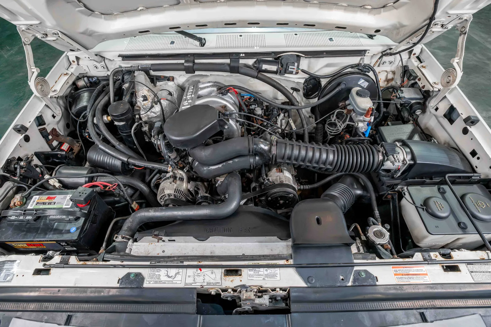1995-Ford-F150-Colonial White-1FTEF15N4SNA48699-42.jpg